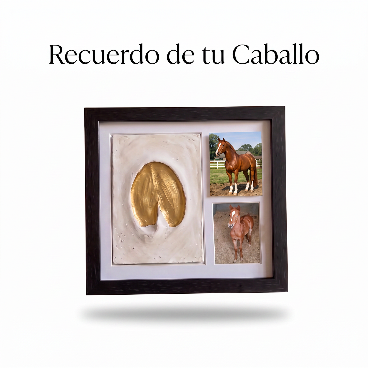 Recuerdo Personalizado de tu Caballo